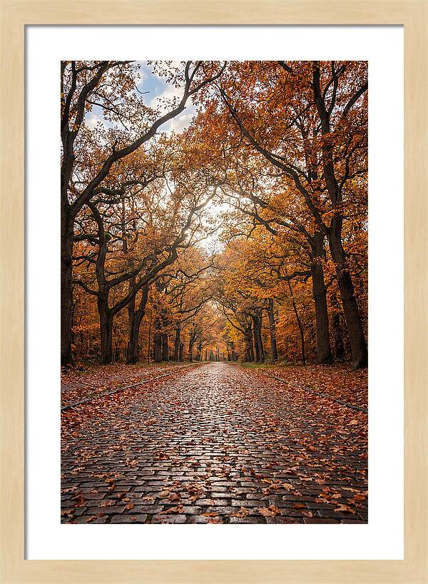Seasonal Serenity On Oak Avenue