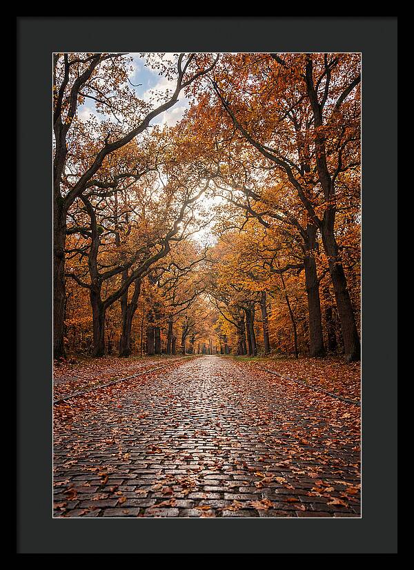 Seasonal Serenity On Oak Avenue