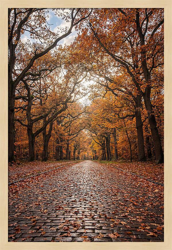 Seasonal Serenity On Oak Avenue