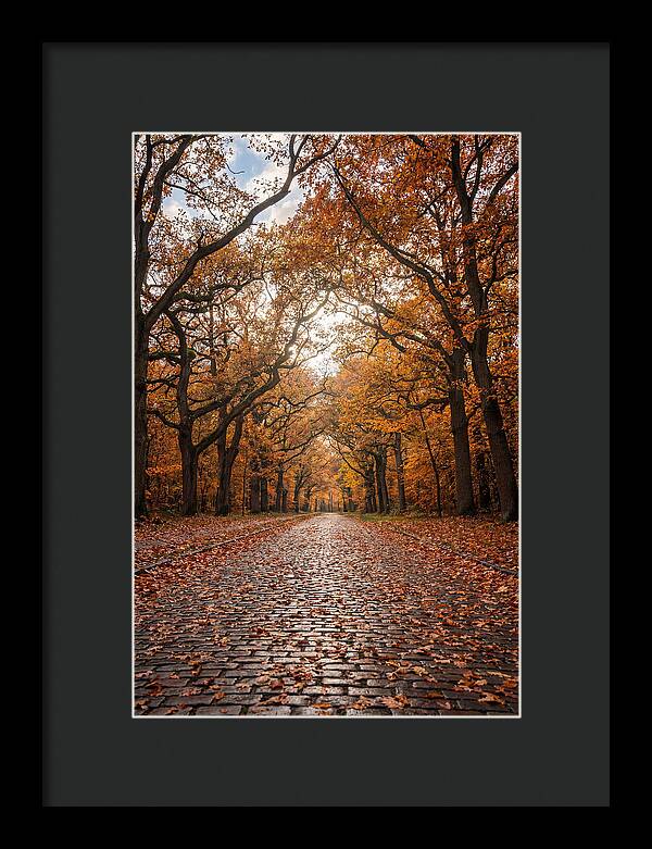 Seasonal Serenity On Oak Avenue