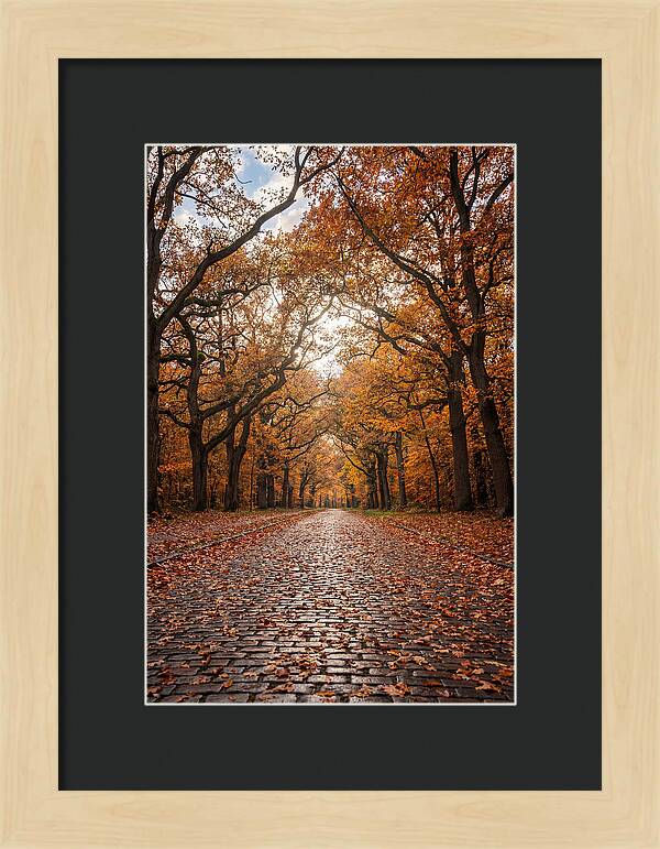 Seasonal Serenity On Oak Avenue