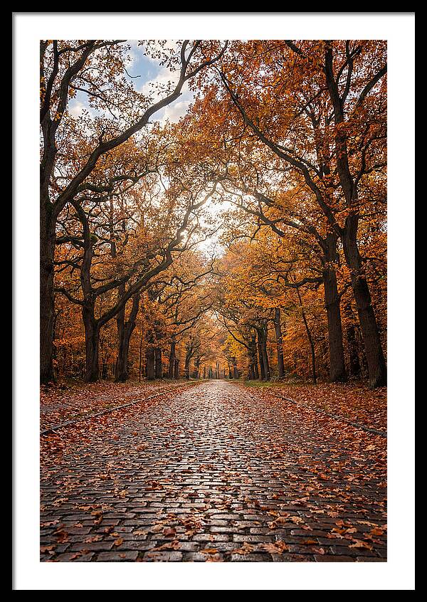 Seasonal Serenity On Oak Avenue