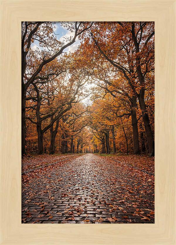 Seasonal Serenity On Oak Avenue