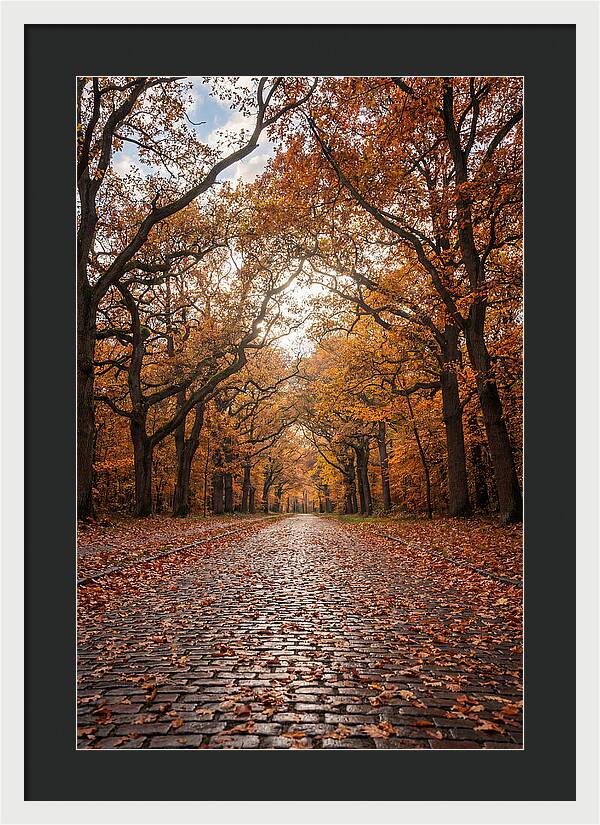 Seasonal Serenity On Oak Avenue
