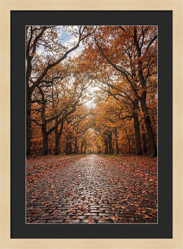 Seasonal Serenity On Oak Avenue