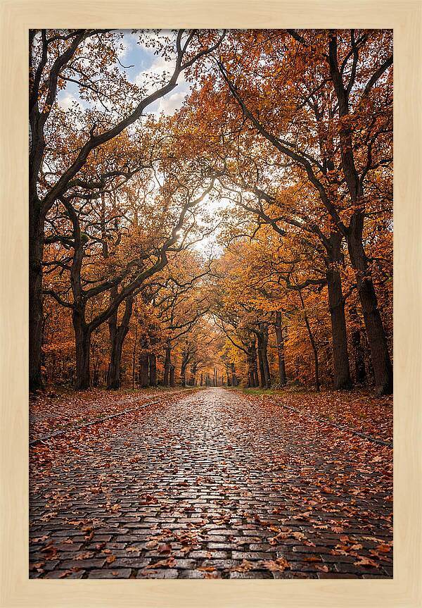 Seasonal Serenity On Oak Avenue