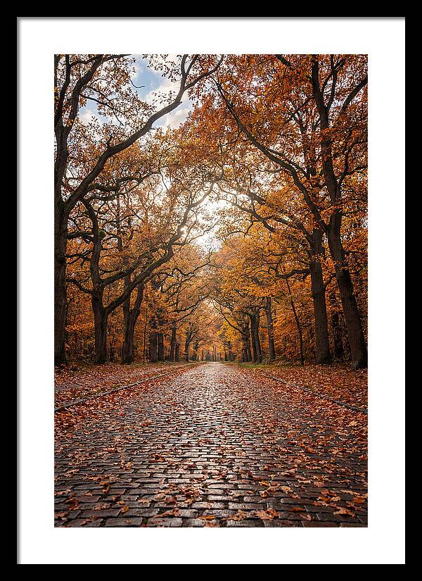 Seasonal Serenity On Oak Avenue