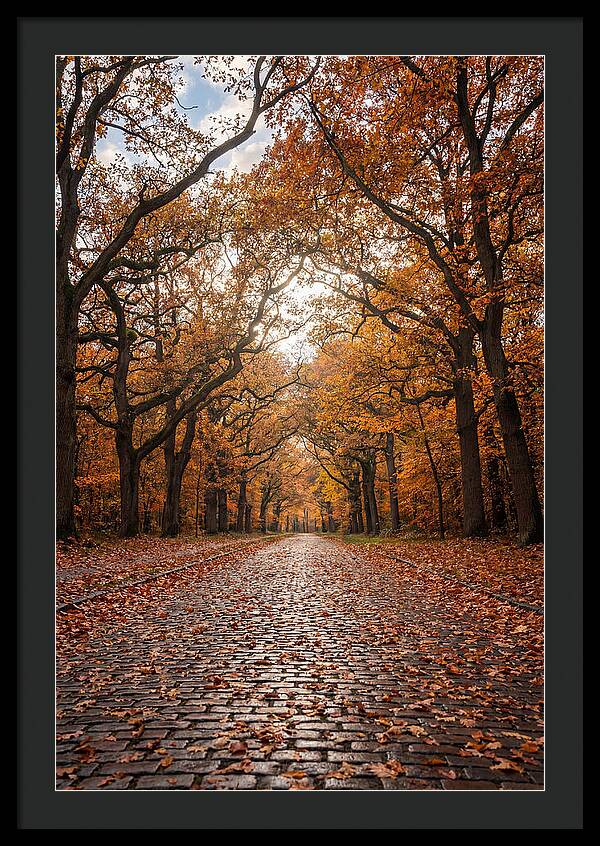 Seasonal Serenity On Oak Avenue