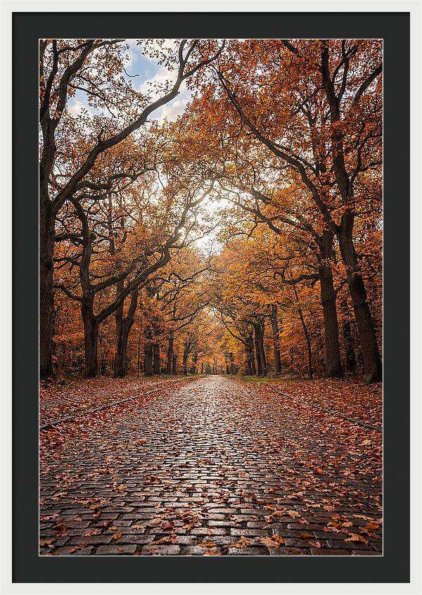 Seasonal Serenity On Oak Avenue