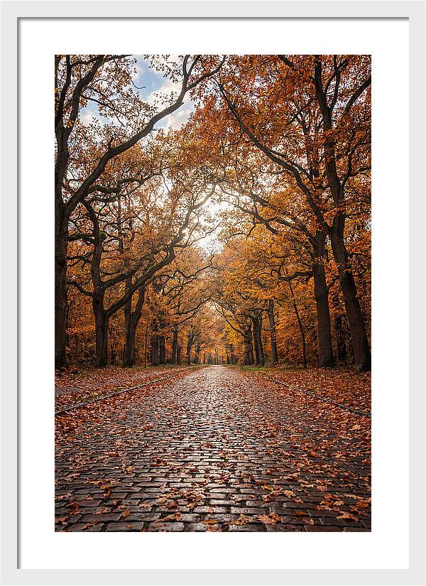 Seasonal Serenity On Oak Avenue