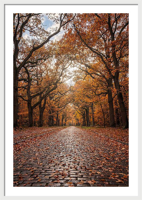 Seasonal Serenity On Oak Avenue