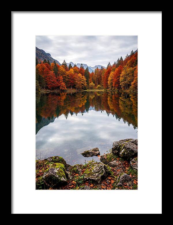 Seasonal Serenity Reflected