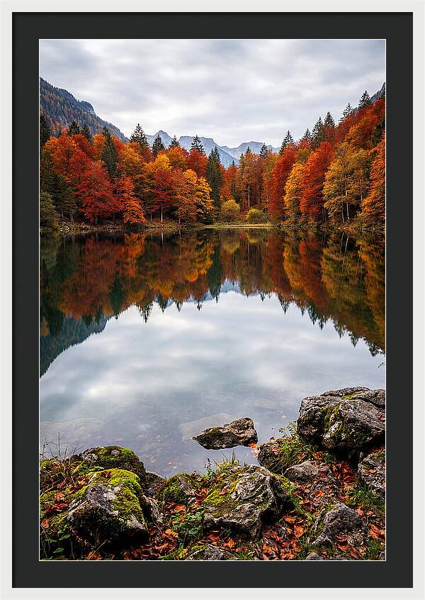 Seasonal Serenity Reflected
