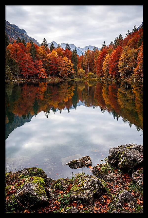 Seasonal Serenity Reflected