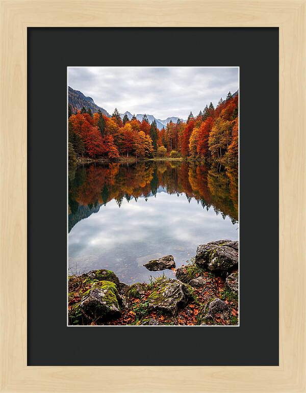 Seasonal Serenity Reflected
