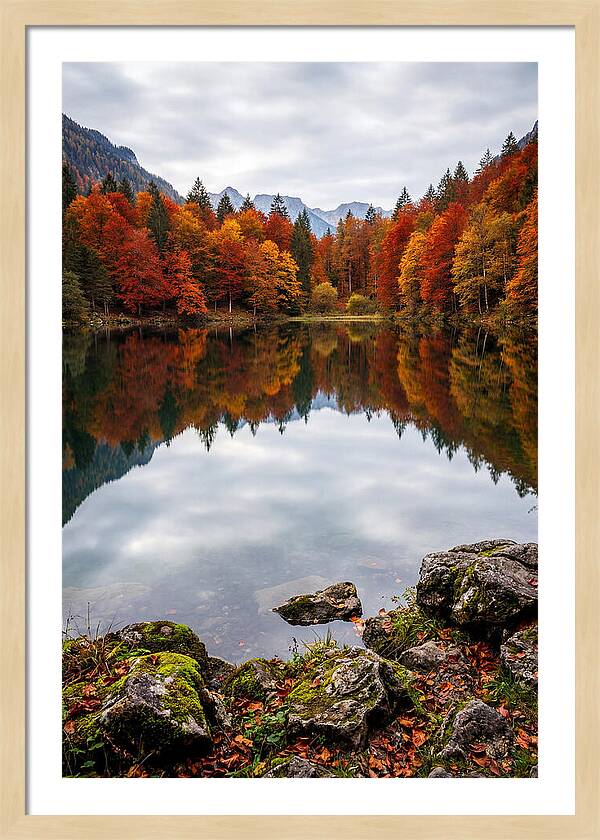 Seasonal Serenity Reflected