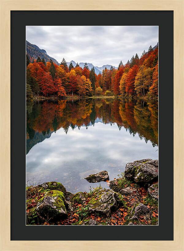 Seasonal Serenity Reflected