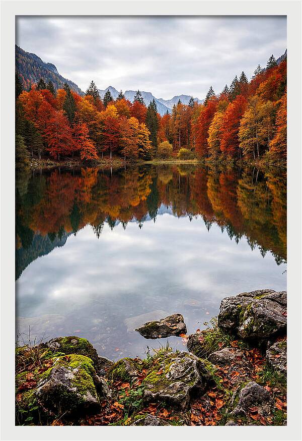 Seasonal Serenity Reflected