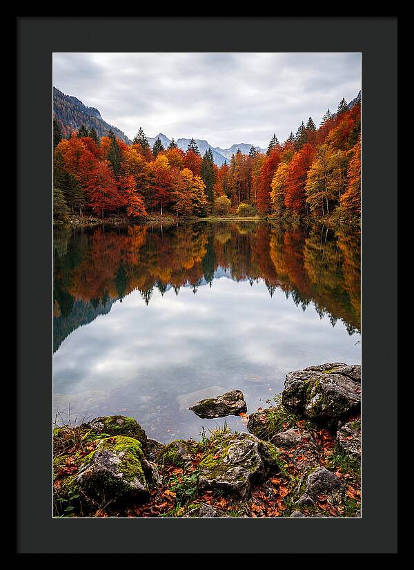 Seasonal Serenity Reflected