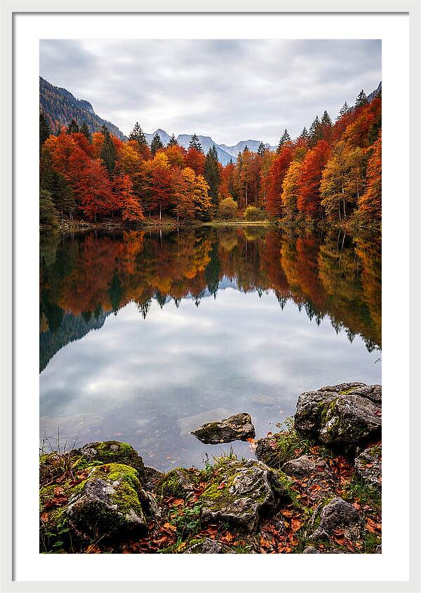 Seasonal Serenity Reflected