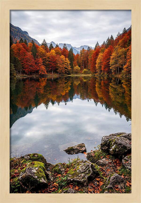 Seasonal Serenity Reflected
