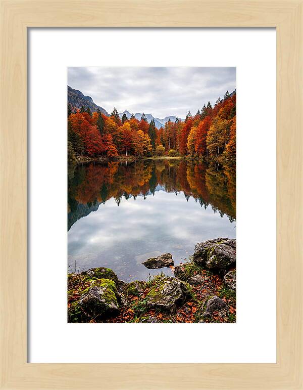 Seasonal Serenity Reflected