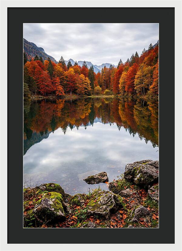 Seasonal Serenity Reflected