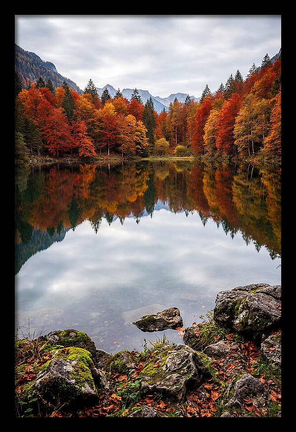 Seasonal Serenity Reflected