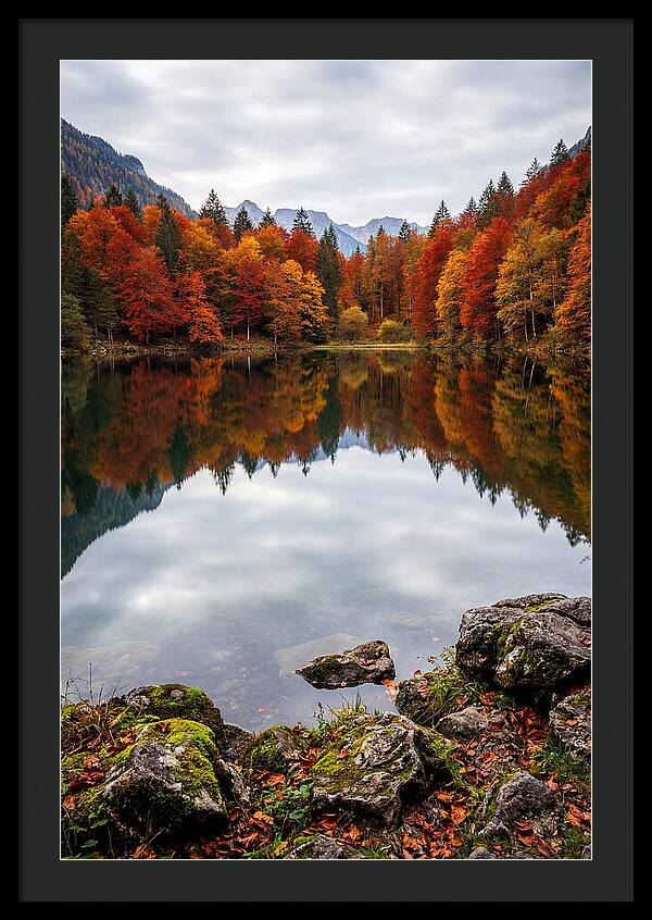 Seasonal Serenity Reflected