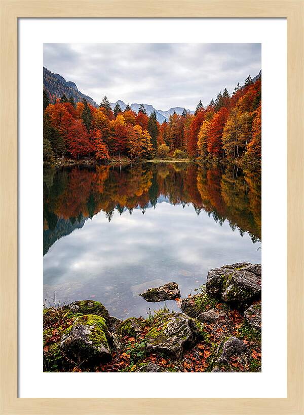 Seasonal Serenity Reflected