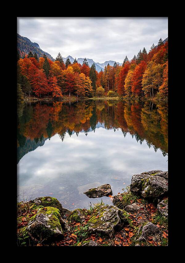 Seasonal Serenity Reflected