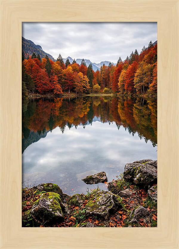 Seasonal Serenity Reflected