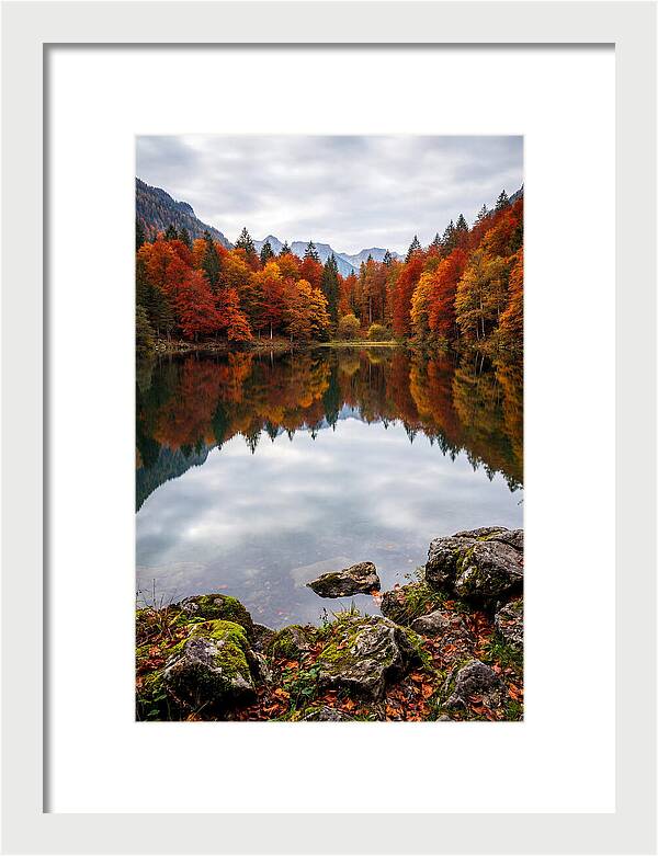 Seasonal Serenity Reflected