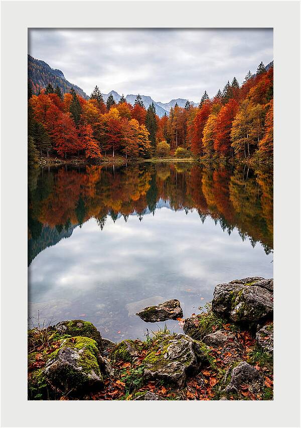 Seasonal Serenity Reflected