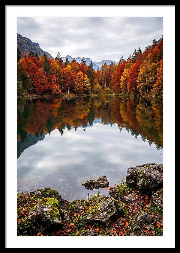 Seasonal Serenity Reflected