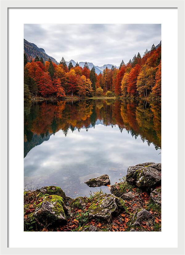 Seasonal Serenity Reflected