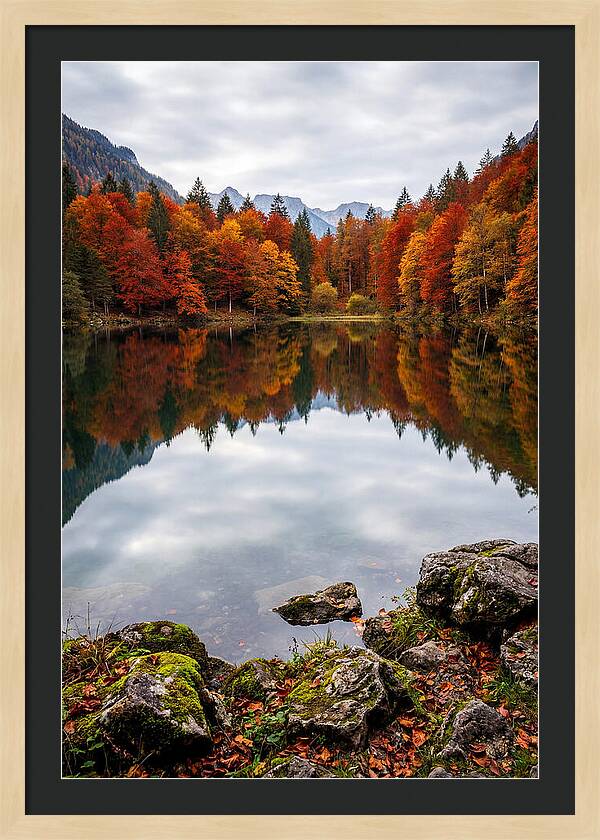 Seasonal Serenity Reflected