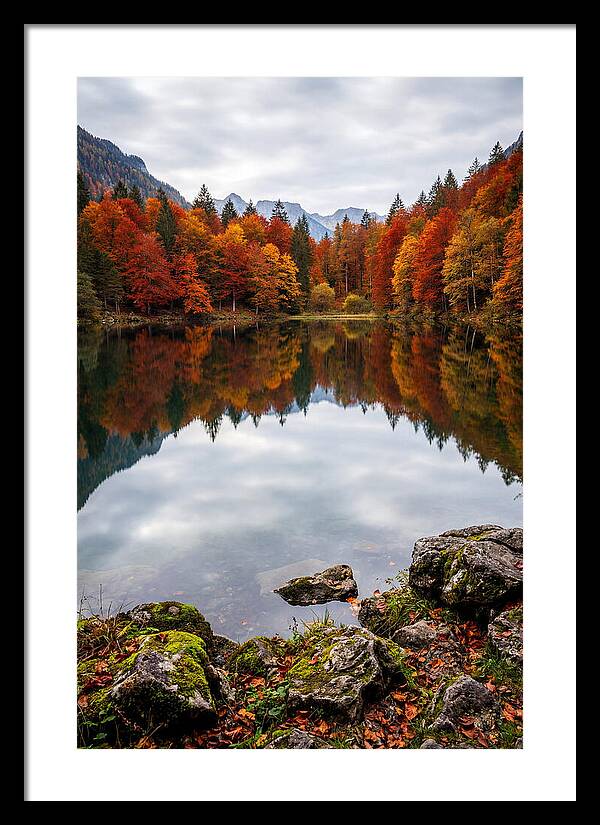 Seasonal Serenity Reflected