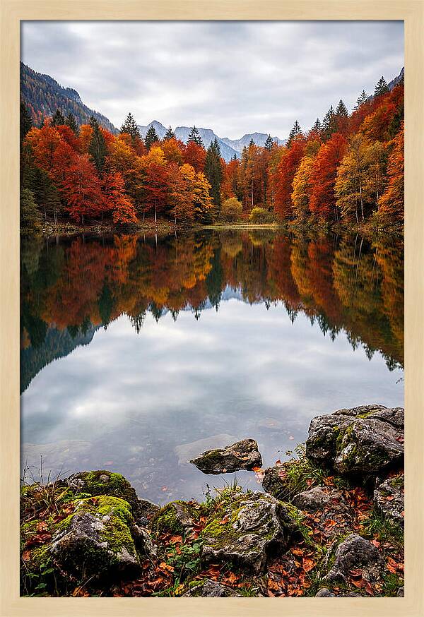 Seasonal Serenity Reflected