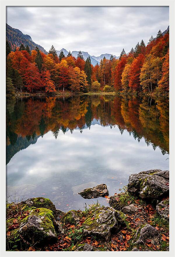 Seasonal Serenity Reflected