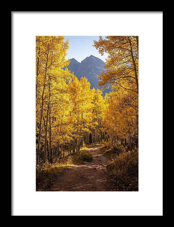 Seasonal Splendor In Aspen Grove