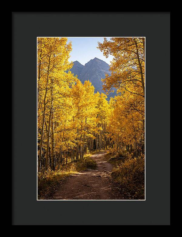 Seasonal Splendor In Aspen Grove