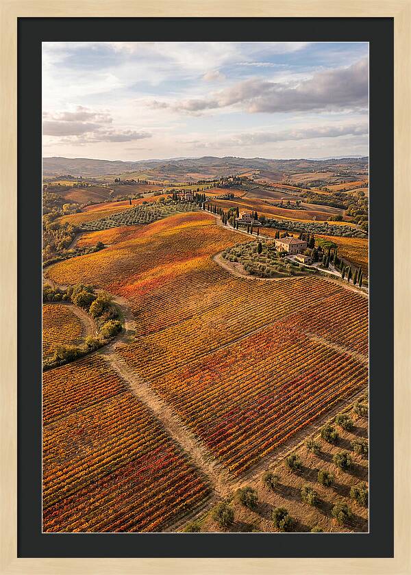 Seasonal Splendor In Tuscany