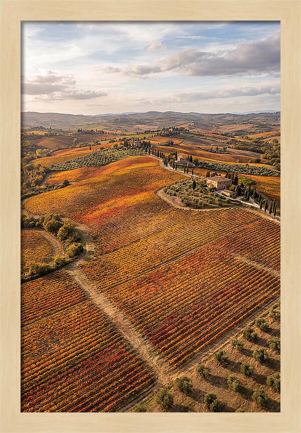 Seasonal Splendor In Tuscany