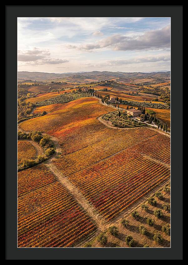 Seasonal Splendor In Tuscany