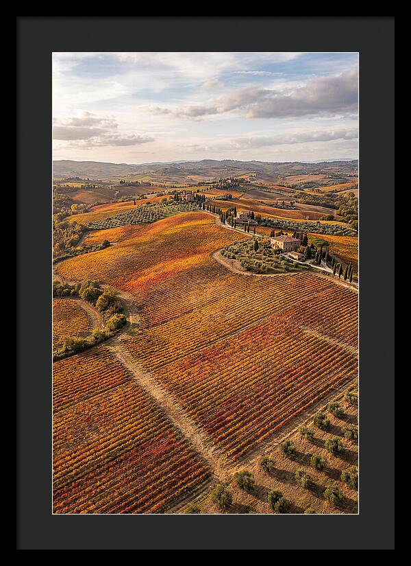 Seasonal Splendor In Tuscany