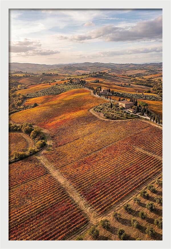 Seasonal Splendor In Tuscany