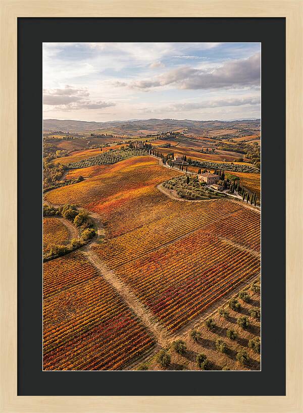 Seasonal Splendor In Tuscany