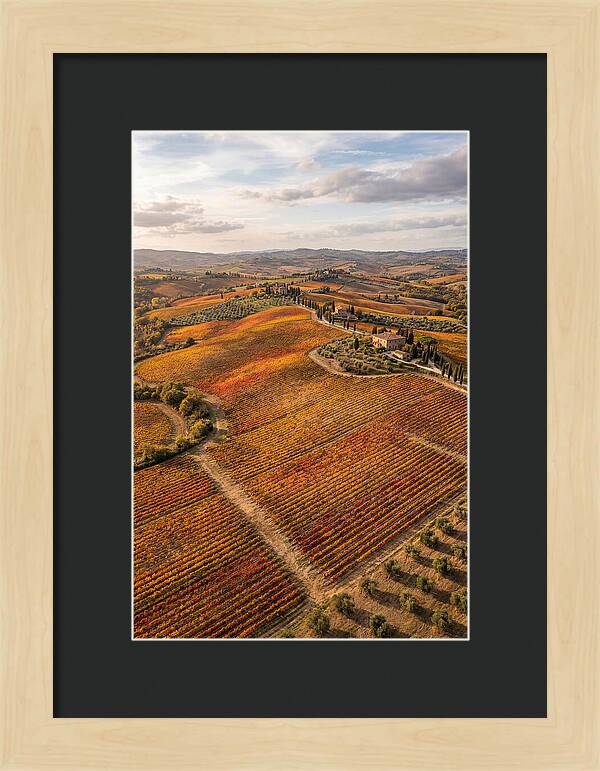 Seasonal Splendor In Tuscany