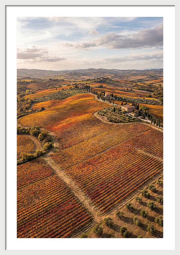 Seasonal Splendor In Tuscany